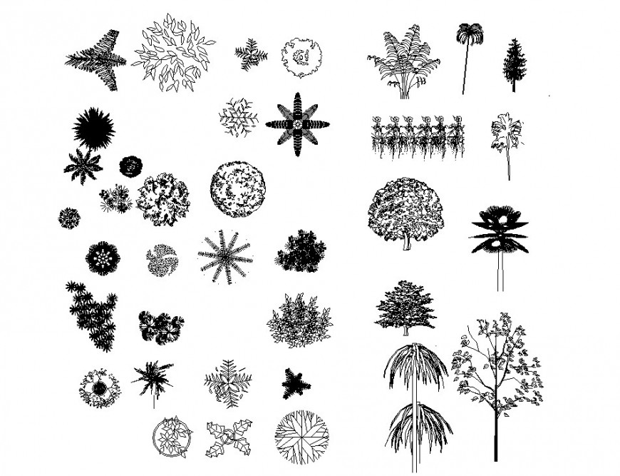 Creative garden tree and plants elevation 2d blocks cad drawing details dwg file