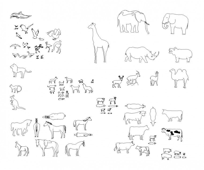 Detail of animals plan layout file