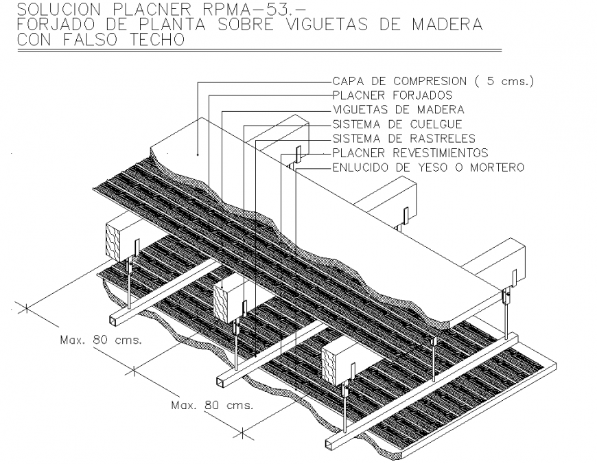 Forged floor on wooden joists with false ceiling detail dwg file