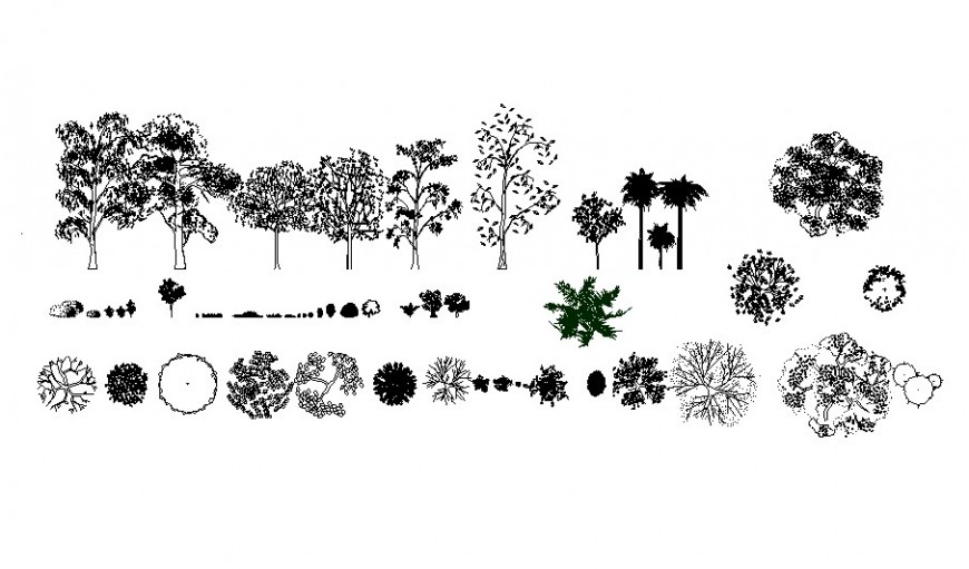 Miscellaneous common tree and plants blocks cad drawing details dwg file