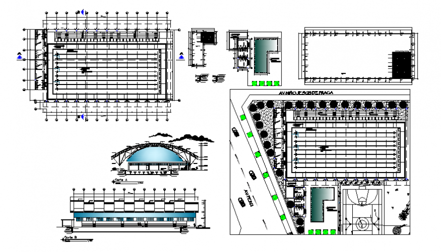 Sports Olympic swimming pool with child covered auto-cad details dwg file