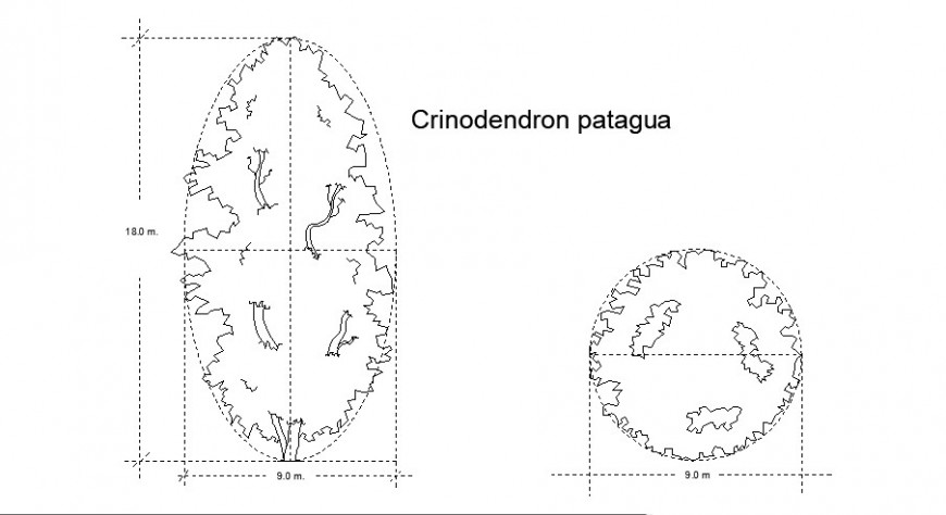 Syndenadron Leaflets tree plan block cad drawing details dwg file