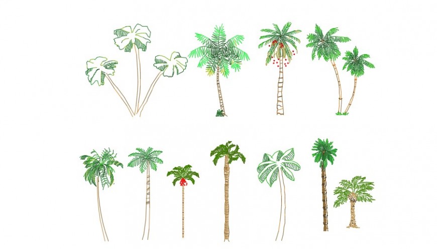 Trees and plants block 2d detail dwg  file