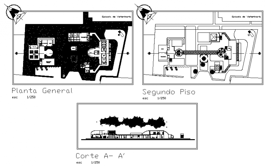 Veterinary clinic hospital main section, general plan and second floor plan details dwg file